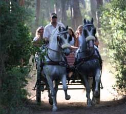 Cieloverde Toscana - Marina di Grosseto visuel 10/11 Cieloverde Toscana - Marina di Grosseto visuel 10/11