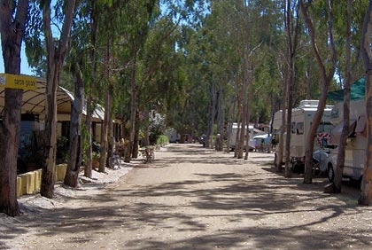Cigno Bianco Cerdeña - Tortolì visuel 4/7