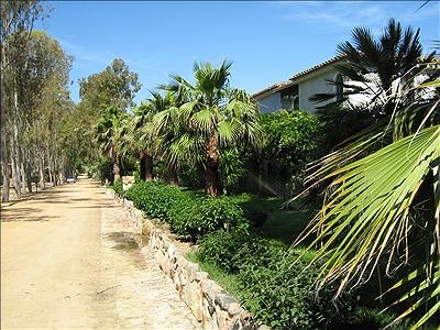 Cigno Bianco Cerdeña - Tortolì visuel 6/7