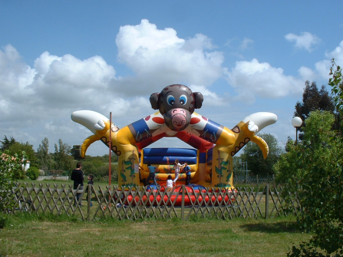 Clos Mer et Nature Países del Loira - Saint-Michel-Chef-Chef visuel 2/8