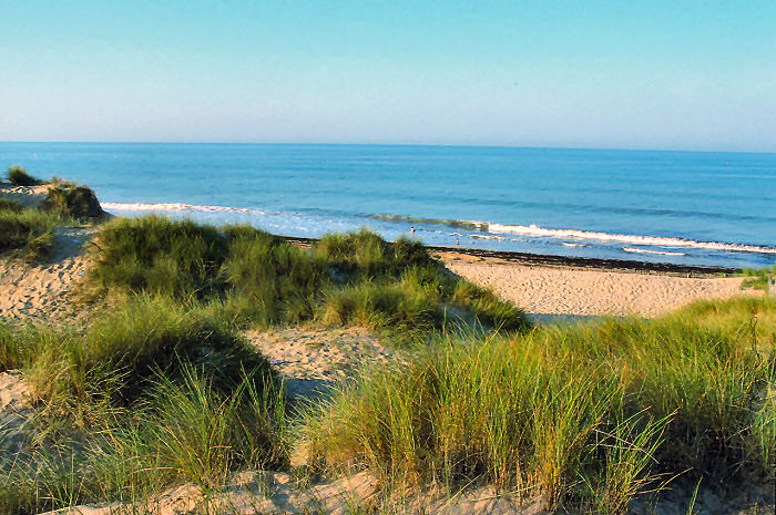 Club plein air Vacanciel de Saint Hilaire de Riez Países del Loira - Saint-Hilaire-de-Riez visuel 2/7