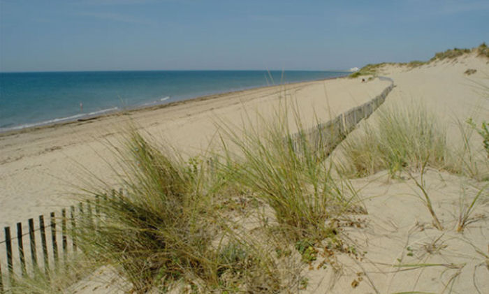 Club plein air Vacanciel de Saint Hilaire de Riez Países del Loira - Saint-Hilaire-de-Riez visuel 4/7