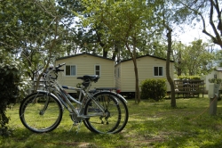 Comanges Languedoc-Rosellón - Argelès-sur-Mer visuel 2/5 Comanges Languedoc-Rosellón - Argelès-sur-Mer visuel 2/5