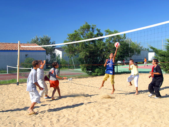 Crin Blanc Provenza-Alpes-Costa Azul - Albaron sur Arles visuel 5/7