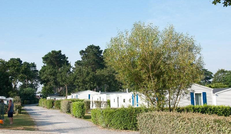 d'Arvor Bretaña - Ambon visuel 7/10 d'Arvor Bretaña - Ambon visuel 7/10