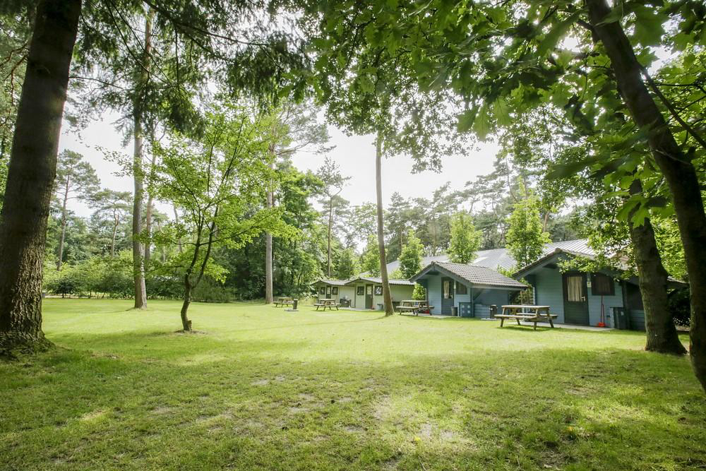 de Paal Brabante Septentrional - Bergeijk visuel 5/6