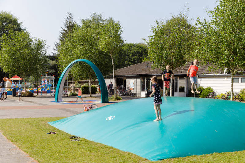 de Roggeberg Frisia - appelscha visuel 4/4