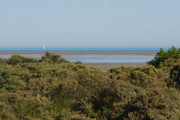 La Plage Norte-Paso de Calais - Marck visuel 9/10 La Plage Norte-Paso de Calais - Marck visuel 9/10