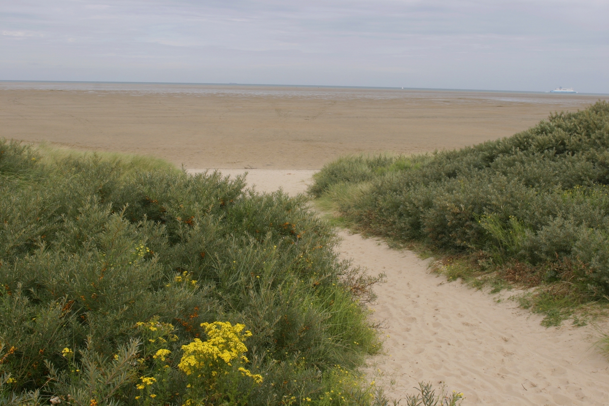 La Plage Norte-Paso de Calais - Marck visuel 2/10 La Plage Norte-Paso de Calais - Marck visuel 2/10