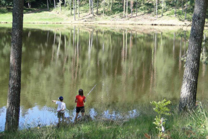 Camping de La Plage Limosín - Soursac visuel 10/10 Camping de La Plage Limosín - Soursac visuel 10/10