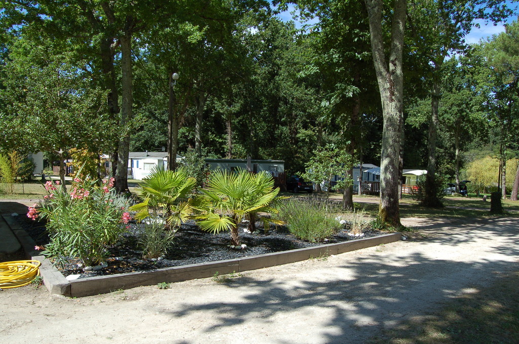 Camping de La Roche Poitou-Charentes - Vaux-sur-Mer visuel 1/3