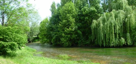 Camping de la Tête Noire centro valle - Buzançais visuel 2/3 Camping de la Tête Noire centro valle - Buzançais visuel 2/3