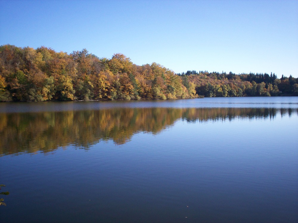Camping de l'étang Limosín - Meyrignac-l'Église visuel 3/5 Camping de l'étang Limosín - Meyrignac-l'Église visuel 3/5