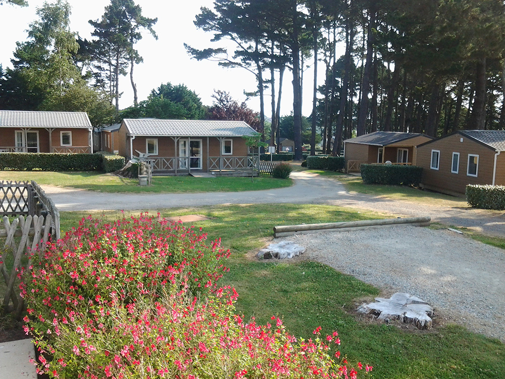 Camping de l'Océan Bretaña - Le Palais visuel 5/9