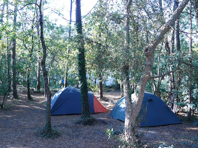 Camping de Moïsan Aquitania - Messanges visuel 7/8 Camping de Moïsan Aquitania - Messanges visuel 7/8