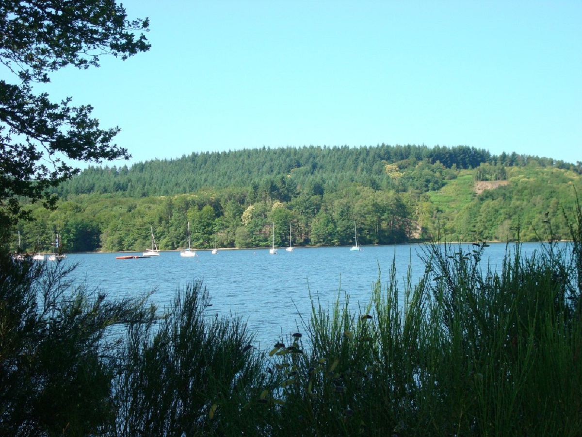 Camping de Santrop Limosín - Razès visuel 2/7