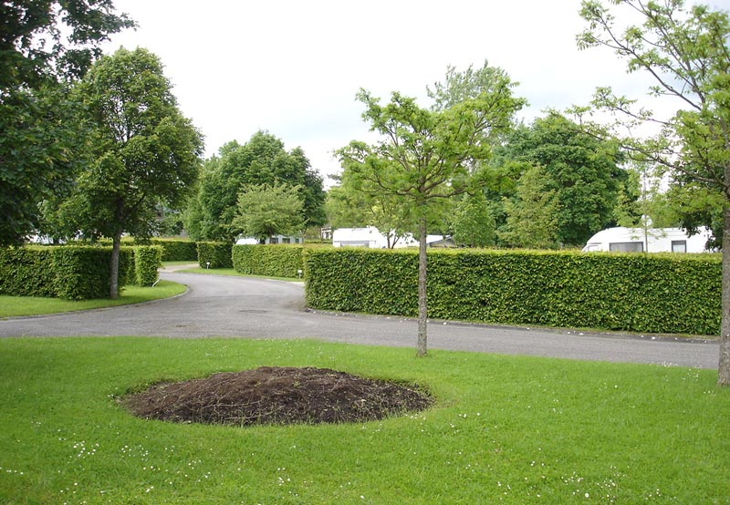 Camping de Vittel Lorena - Vittel visuel 2/10 Camping de Vittel Lorena - Vittel visuel 2/10