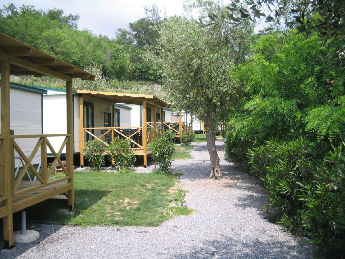 dei Fiori Liguria - Pietra Ligure visuel 2/11 dei Fiori Liguria - Pietra Ligure visuel 2/11