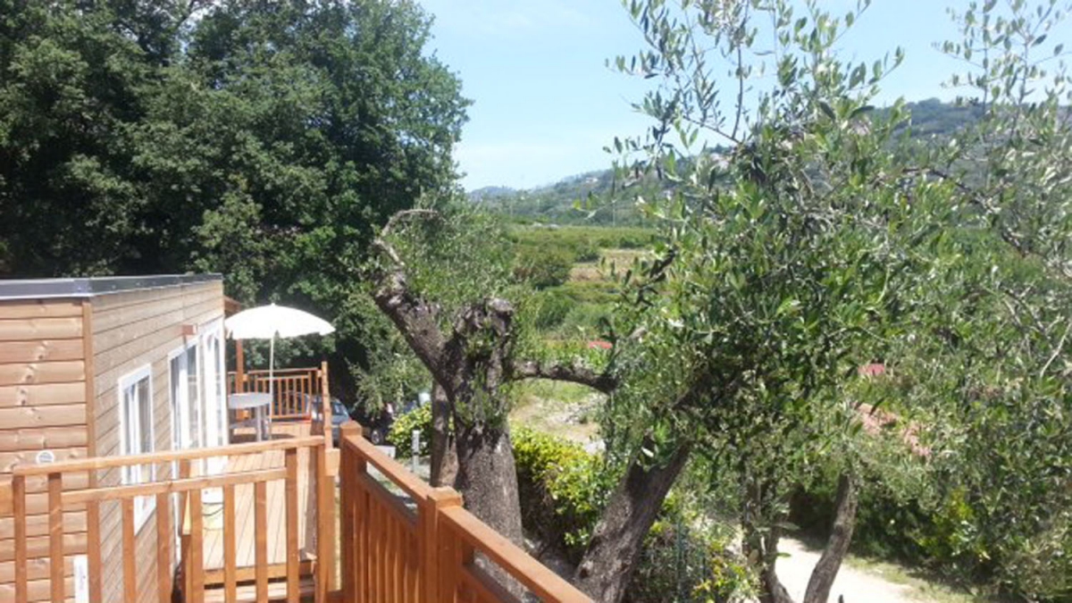 dei Fiori Liguria - Pietra Ligure visuel 5/11 dei Fiori Liguria - Pietra Ligure visuel 5/11