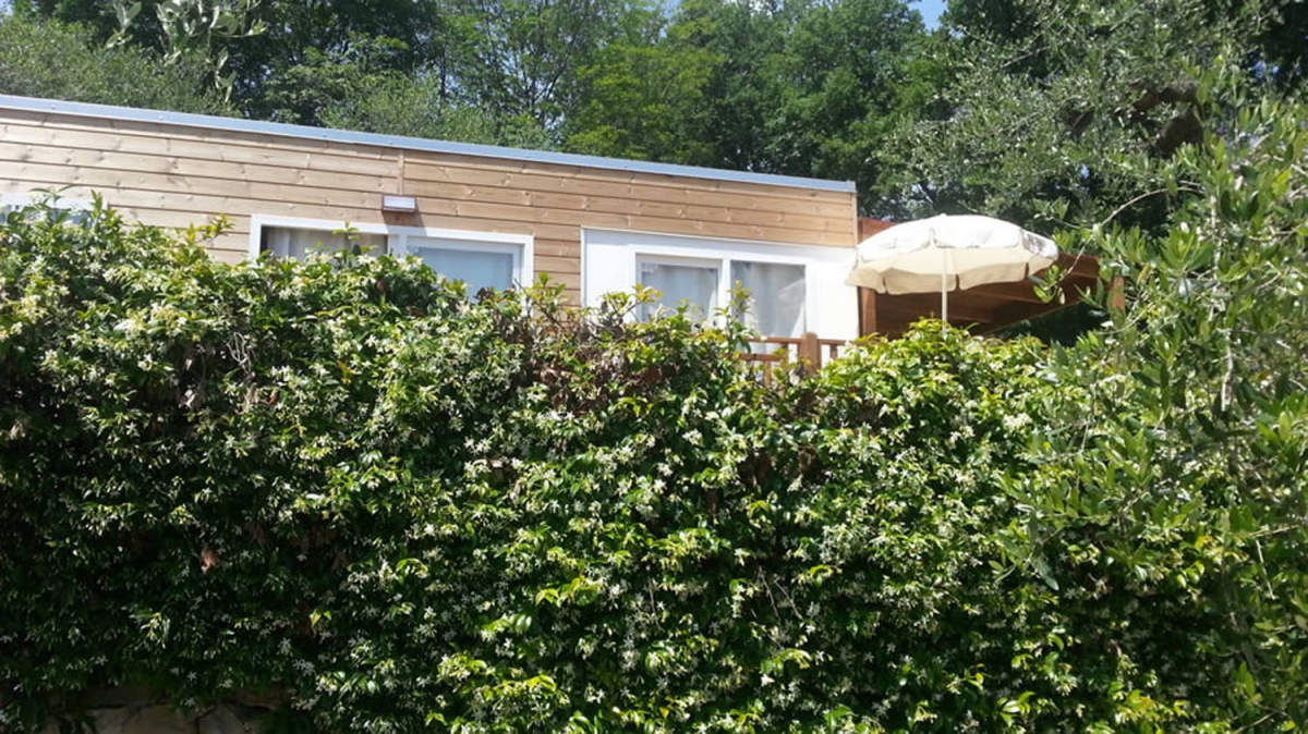 dei Fiori Liguria - Pietra Ligure visuel 6/11 dei Fiori Liguria - Pietra Ligure visuel 6/11