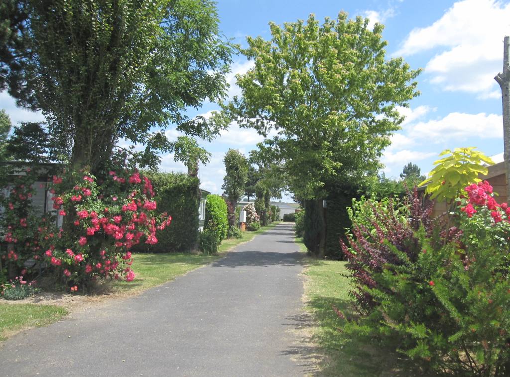 Camping des 4 Plages Norte-Paso de Calais - Conchil-le-Temple visuel 1/1