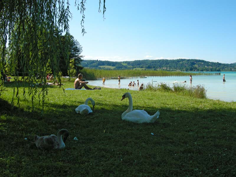 des Chavannes Ródano-Alpes - Novalaise visuel 2/6 des Chavannes Ródano-Alpes - Novalaise visuel 2/6