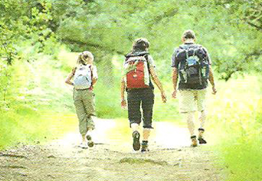 des Lacs Poitou-Charentes - Pressignac visuel 7/9