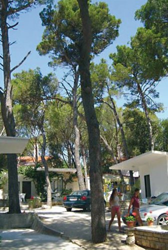 Diana & Josip Dalmacia - Biograd visuel 2/4