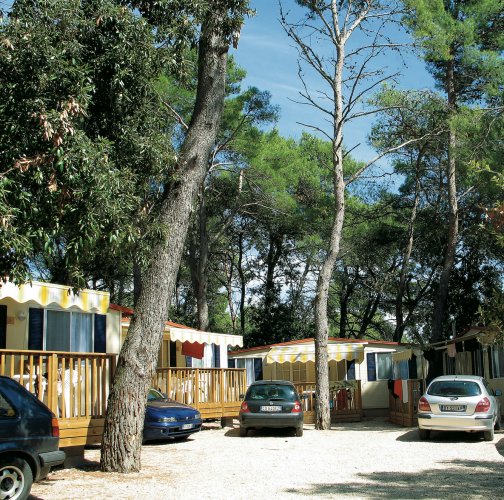 Diana & Josip Dalmacia - Biograd visuel 3/4