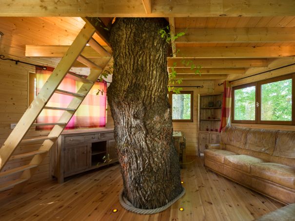 Domaine Arvor Bretaña - Lanvallay visuel 4/11