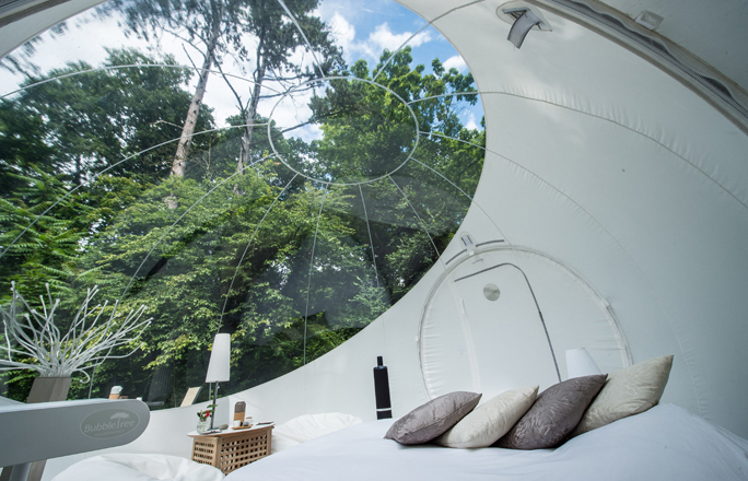 Domaine Bulles des Bois Provenza-Alpes-Costa Azul - Cuges-les-Pins visuel 4/7