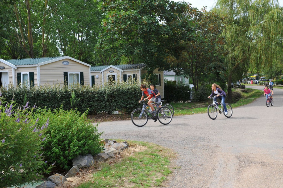 Domaine de Beaulieu Países del Loira - Saint-Gilles-Croix-de-Vie visuel 11/11 Domaine de Beaulieu Países del Loira - Saint-Gilles-Croix-de-Vie visuel 11/11