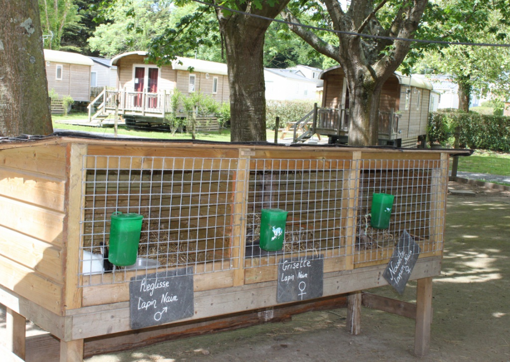 Domaine de Bréhadour Países del Loira - Guérande visuel 7/10