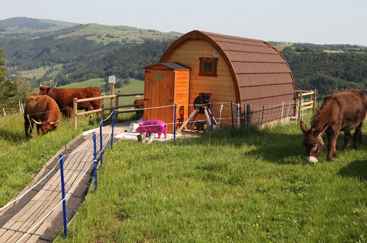 Domaine de Chaux Revel Auvernia - Saint-Martin-Valmeroux visuel 3/7 Domaine de Chaux Revel Auvernia - Saint-Martin-Valmeroux visuel 3/7