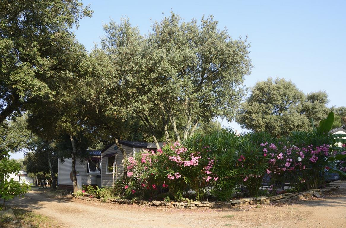 Domaine de Gajan Languedoc-Rosellón - Boisseron visuel 2/10 Domaine de Gajan Languedoc-Rosellón - Boisseron visuel 2/10