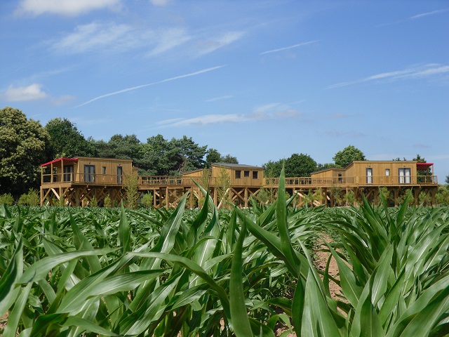 Domaine de Kervallon Bretaña - Caro visuel 2/10 Domaine de Kervallon Bretaña - Caro visuel 2/10