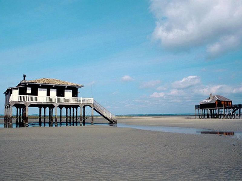 Domaine de La Forge Aquitania - La Teste-de-Buch visuel 17/20