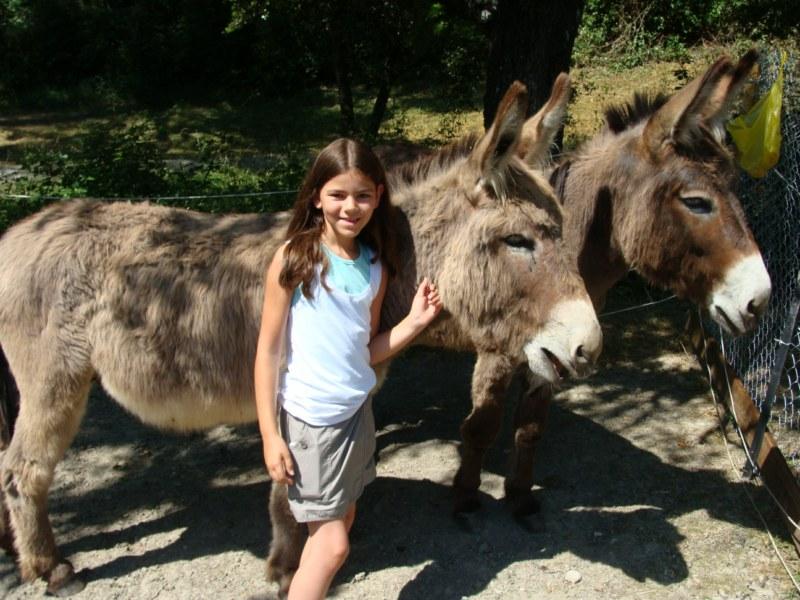 Domaine de La Gautière Ródano-Alpes - La Penne-sur-l'Ouvèze visuel 5/6