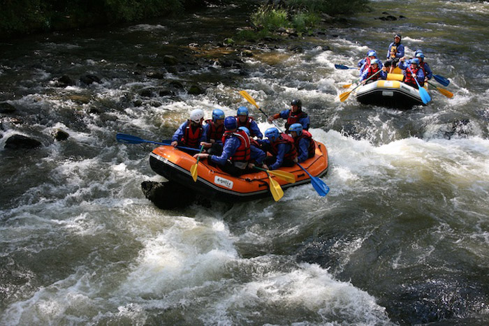 Domaine de la Mare aux Fées Languedoc-Rosellón - Roquefeuil visuel 5/6