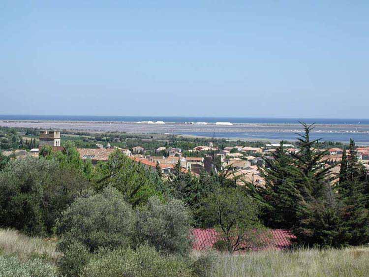 Domaine de la Palme Languedoc-Rosellón - La Palme visuel 9/10 Domaine de la Palme Languedoc-Rosellón - La Palme visuel 9/10