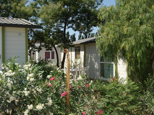 Domaine de la Pinède Enchantée Languedoc-Rosellón - Argelès-sur-Mer visuel 3/8 Domaine de la Pinède Enchantée Languedoc-Rosellón - Argelès-sur-Mer visuel 3/8