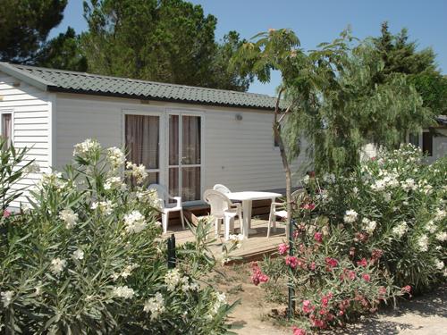 Domaine de la Pinède Enchantée Languedoc-Rosellón - Argelès-sur-Mer visuel 4/8 Domaine de la Pinède Enchantée Languedoc-Rosellón - Argelès-sur-Mer visuel 4/8