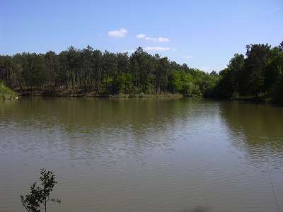 Domaine de l'Etang de Bazange Aquitania - Monfaucon visuel 6/10 Domaine de l'Etang de Bazange Aquitania - Monfaucon visuel 6/10