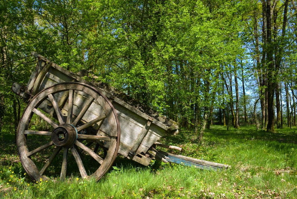 Domaine de l’Oiselière Países del Loira - Chauché visuel 16/20