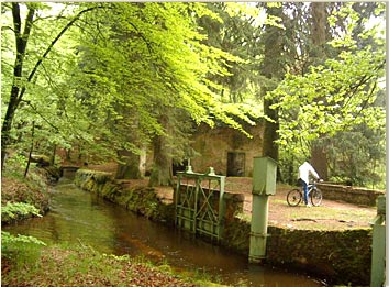 Domaine de Miraval Mediodía-Pirineos - Belleserre visuel 5/8 Domaine de Miraval Mediodía-Pirineos - Belleserre visuel 5/8