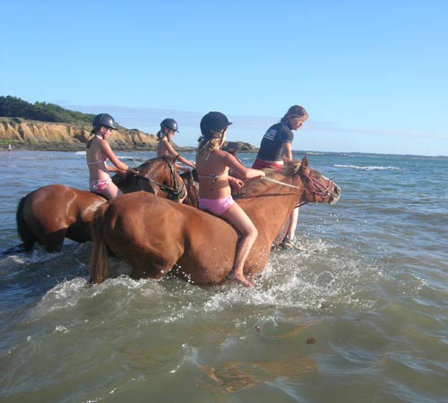 Domaine de Pont-Mahé Países del Loira - Assérac visuel 6/10 Domaine de Pont-Mahé Países del Loira - Assérac visuel 6/10