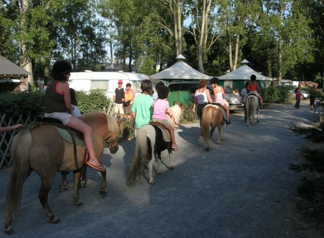 Domaine de Pont-Mahé Países del Loira - Assérac visuel 9/10 Domaine de Pont-Mahé Países del Loira - Assérac visuel 9/10