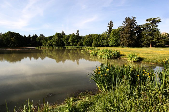 Domaine de Seillac centro valle - Seillac visuel 2/10 Domaine de Seillac centro valle - Seillac visuel 2/10