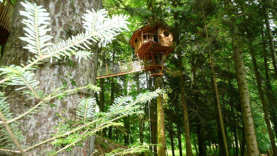 Domaine de Syam Franco Condado - Syam visuel 16/19 Domaine de Syam Franco Condado - Syam visuel 16/19