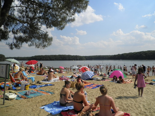 Domaine de Trémelin Bretaña - Iffendic visuel 1/10 Domaine de Trémelin Bretaña - Iffendic visuel 1/10